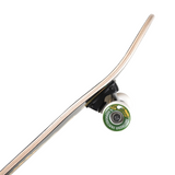 ANTIHERO COMP CLASSIC EAGLE 7.3"