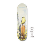 APRIL - RONNIE KESSNER MODEL - GOLD FINCH 8.0