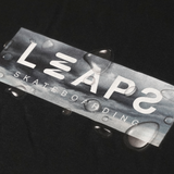 LEAPS "Rainy day"  SST